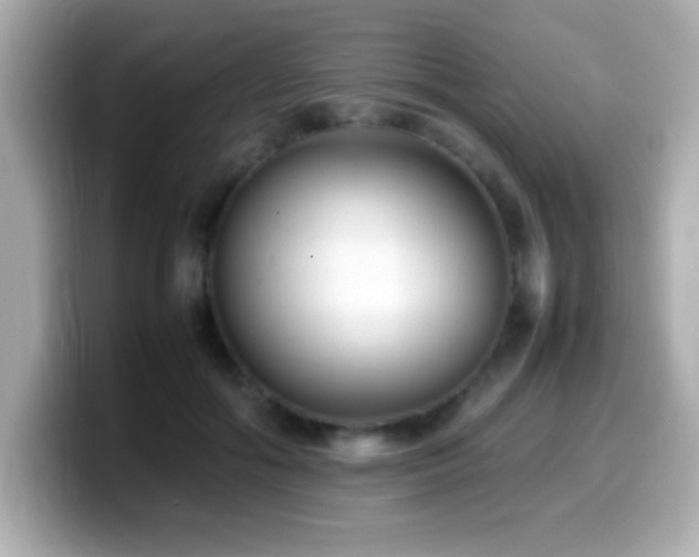 X0000099940602200805231253
