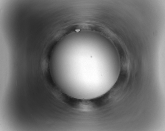 X0000099940603200805231253