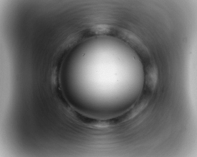 X0000099940604200805231253