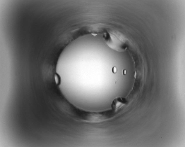 X0000099940605200805231253