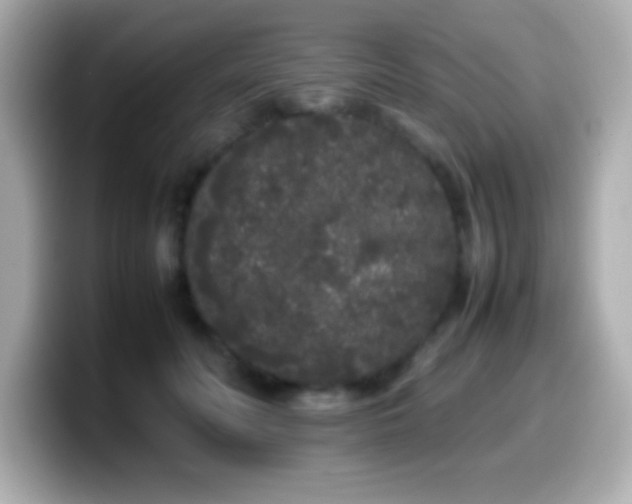 X0000099940606200805231253