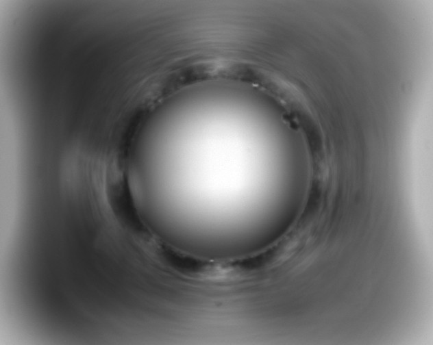 X0000099940607200805231253