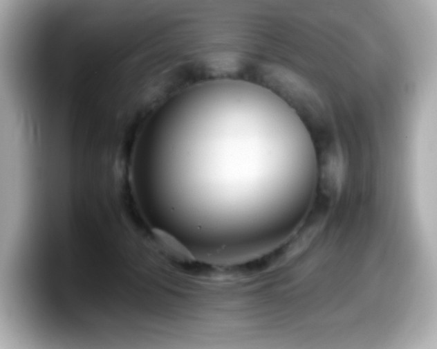 X0000099940608200805231253