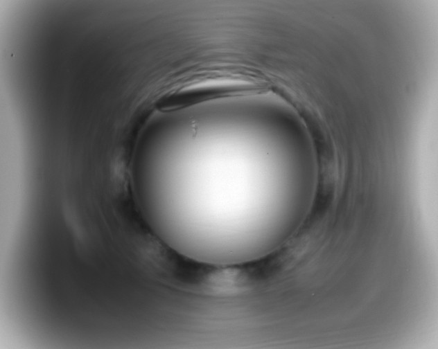 X0000099940609200805231253