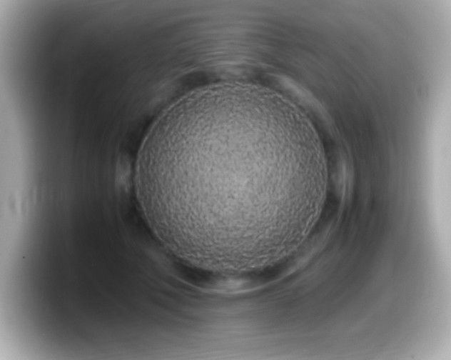 X0000099940610200805231253