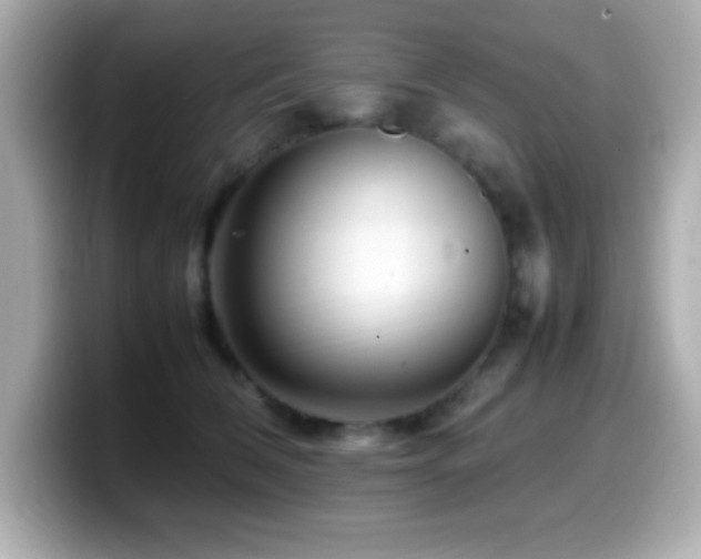 X0000099940612200805231253