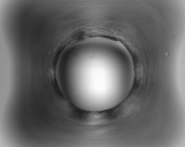 X0000099940613200805231253