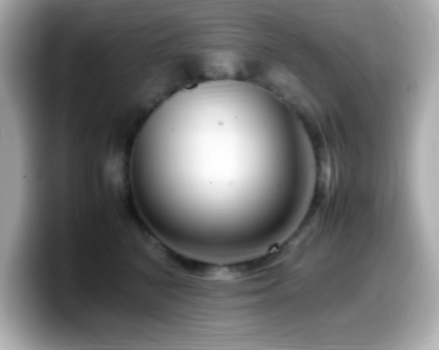 X0000099940616200805231253