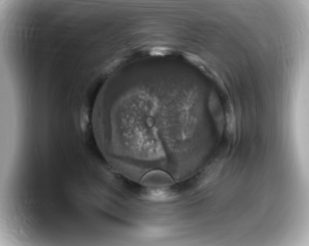 X0000099940618200805231253