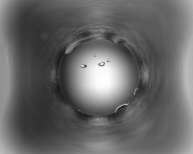 X0000099940619200805231253
