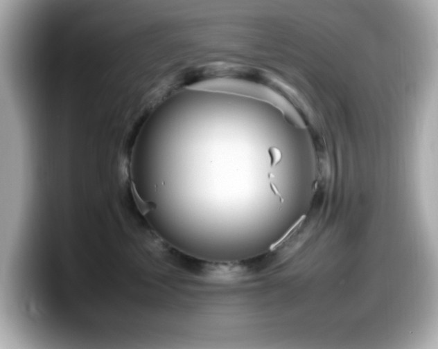 X0000099940621200805231253