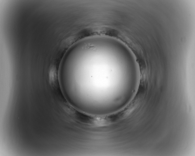 X0000099940623200805231253