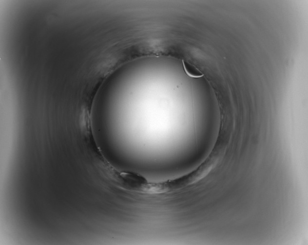 X0000099940624200805231253