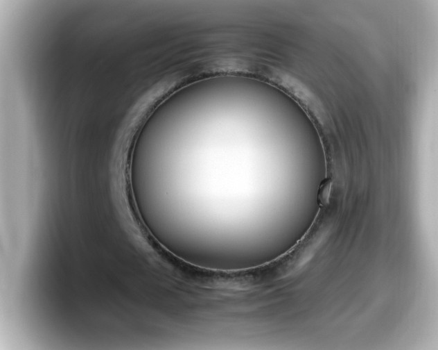 X0000099940625200805231252