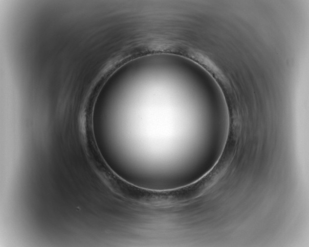 X0000099940626200805231252