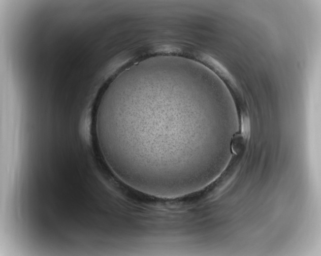 X0000099940627200805231252