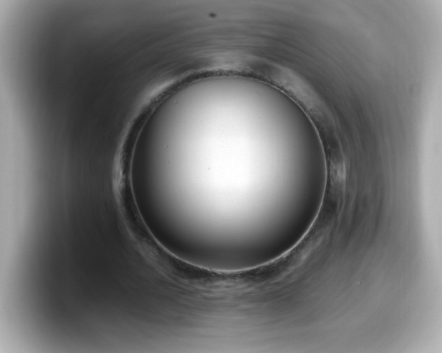 X0000099940628200805231252