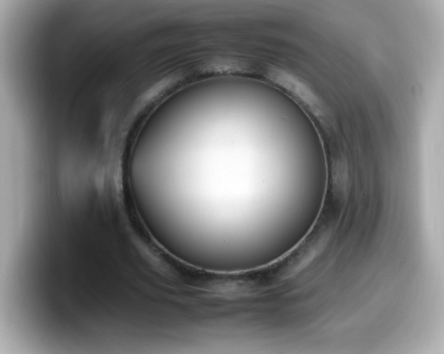X0000099940629200805231252