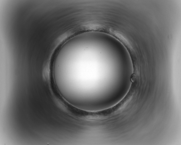 X0000099940630200805231252