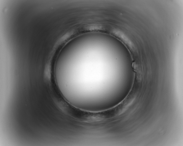 X0000099940631200805231252
