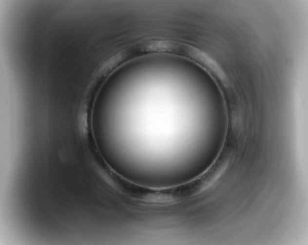 X0000099940633200805231252