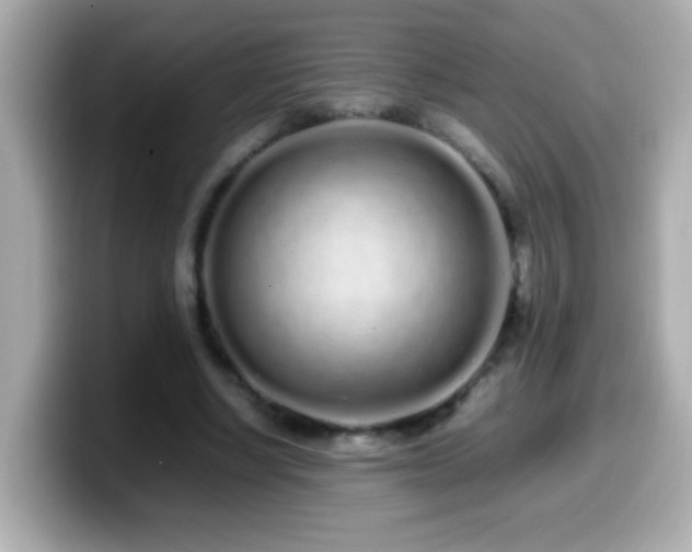 X0000099940634200805231252