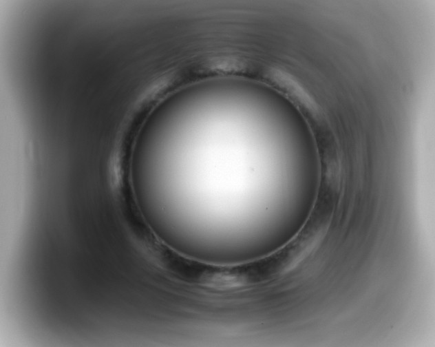 X0000099940635200805231252