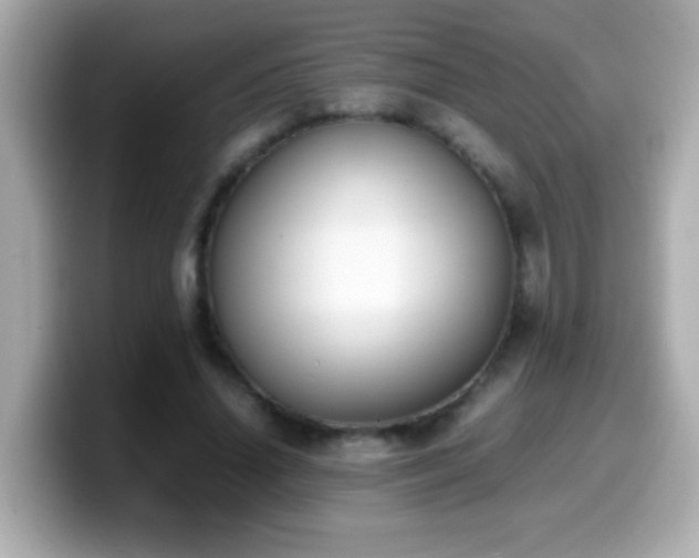 X0000099940636200805231252