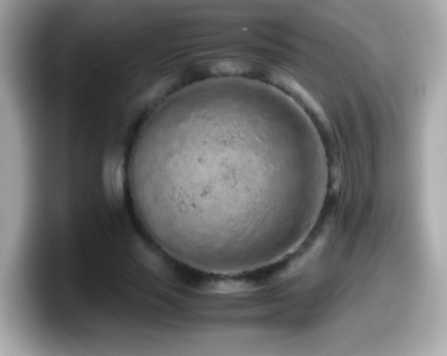 X0000099940637200805231252