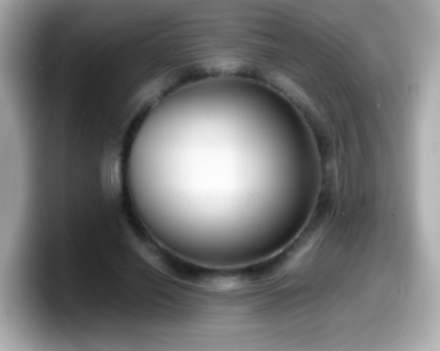 X0000099940638200805231252