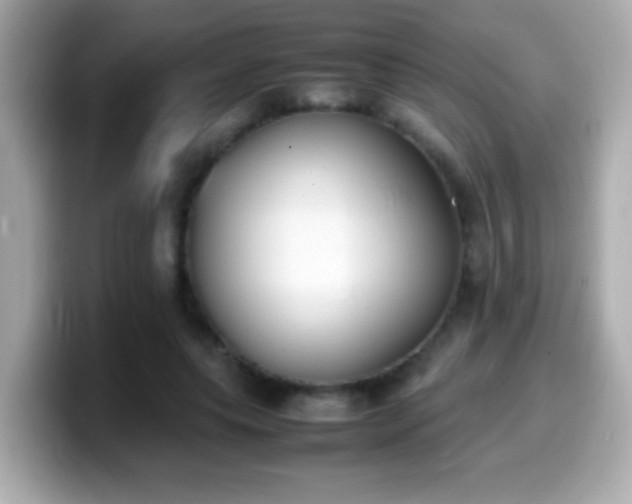 X0000099940639200805231252