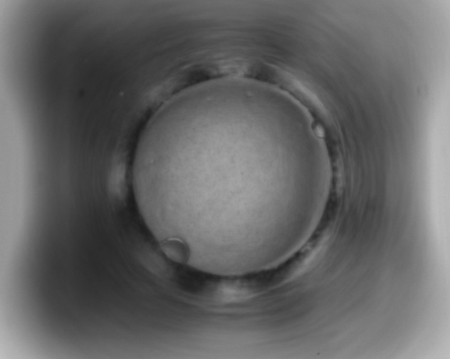 X0000099940641200805231252