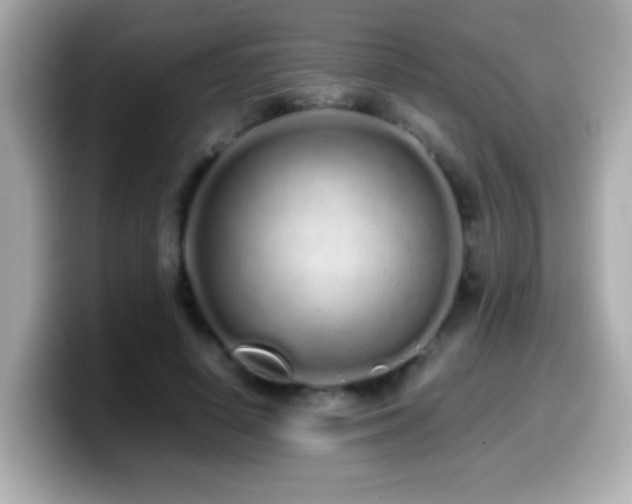 X0000099940642200805231252