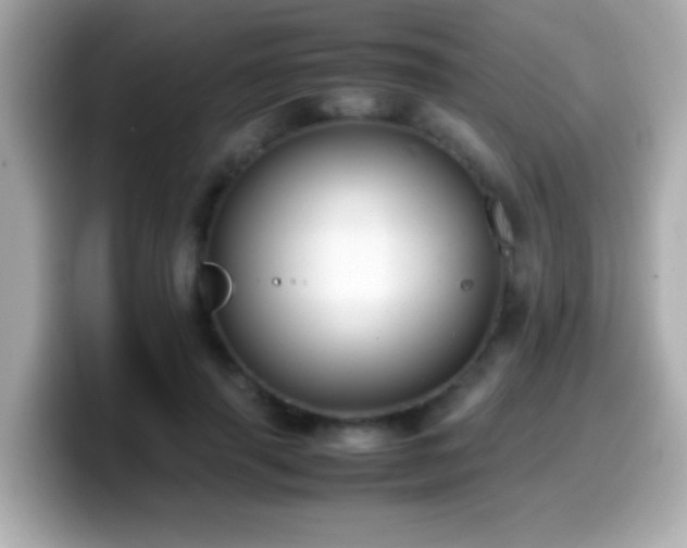X0000099940645200805231252