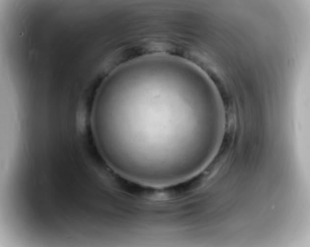 X0000099940647200805231252