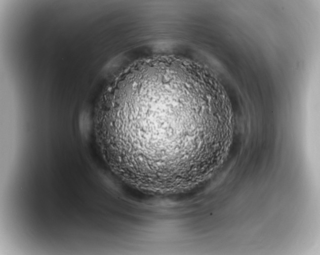 X0000099940648200805231252