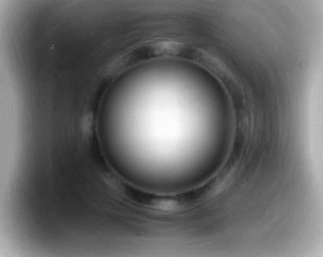 X0000099940649200805231252