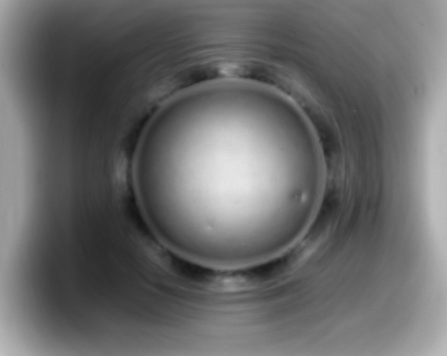 X0000099940650200805231252