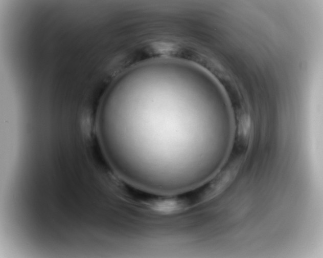 X0000099940651200805231252