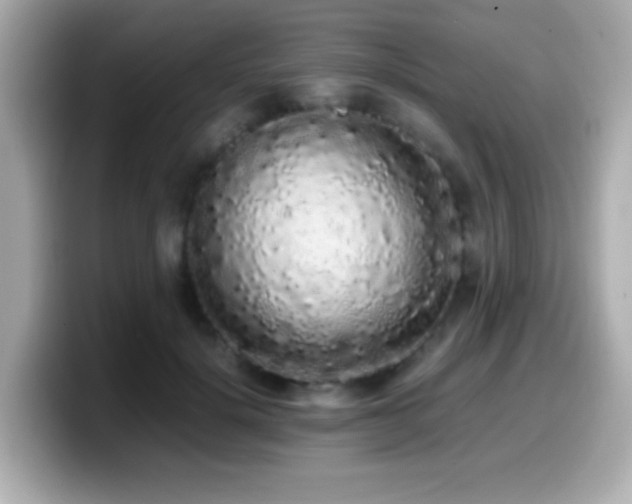 X0000099940652200805231252