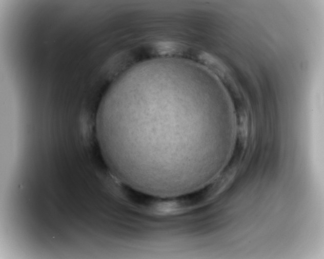 X0000099940653200805231252