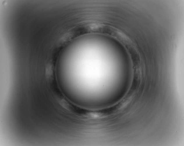 X0000099940654200805231252