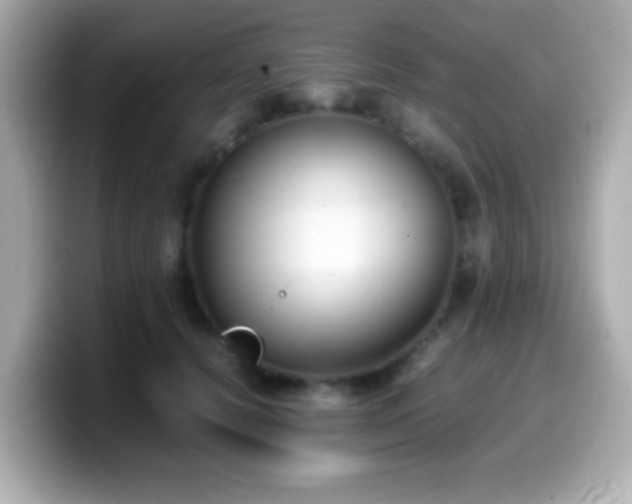 X0000099940656200805231252
