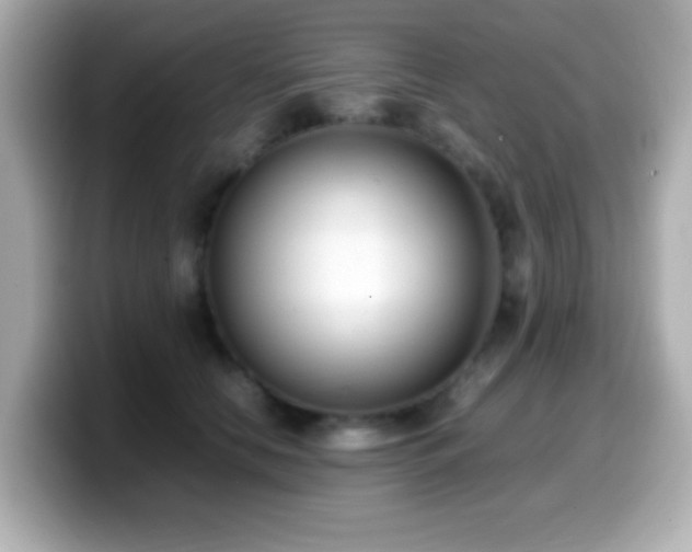 X0000099940658200805231252