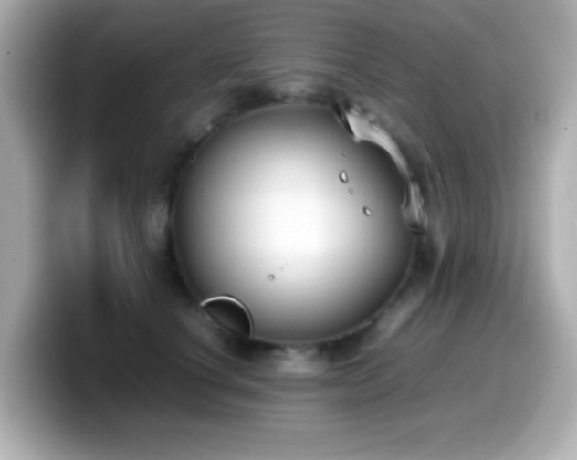X0000099940660200805231252