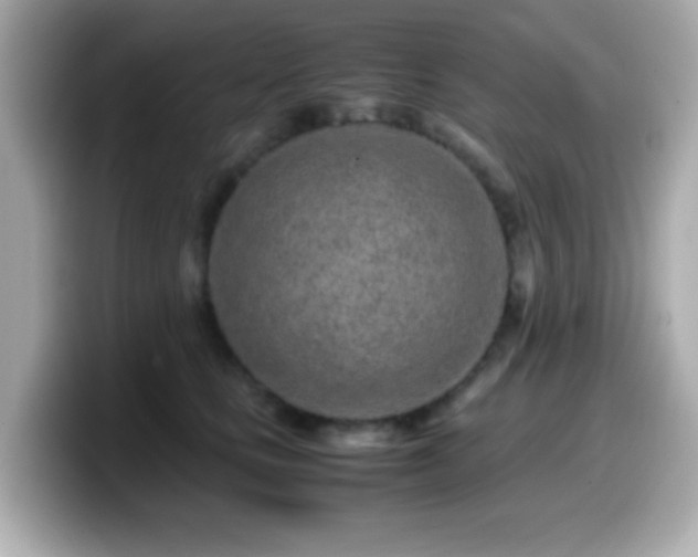 X0000099940661200805231253