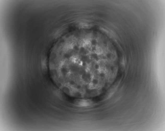 X0000099940663200805231253