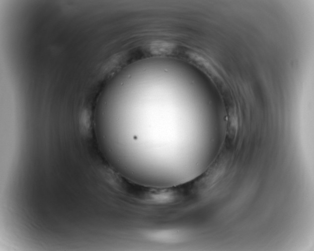 X0000099940667200805231253