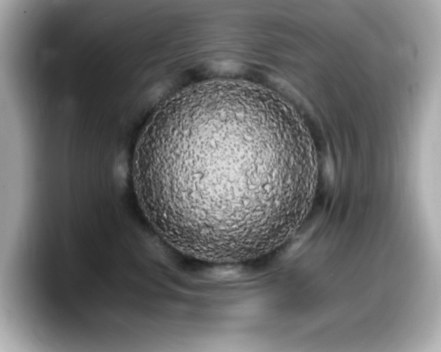 X0000099940668200805231253