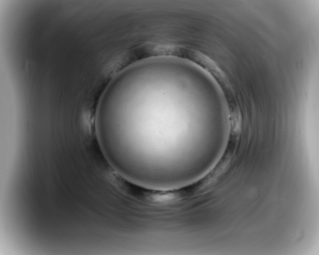 X0000099940669200805231253